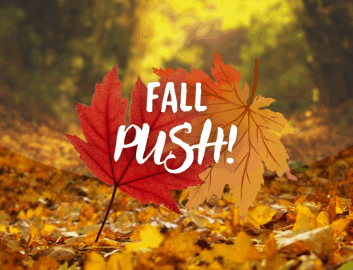 Fall Push Week 4 – Super Modern Ultra Graphic Girl energy is simmering