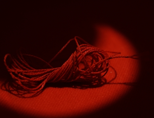Favorite Romance Books of 2025 – Red String Theory: Fate or Choice??