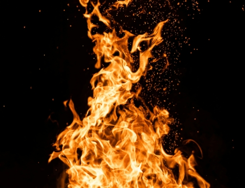 [February 2026] Year of Yes: Reconnection and Inner Flames