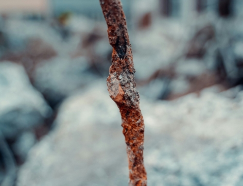 World Class Training Camp: Don’t Settle for the Short Stick