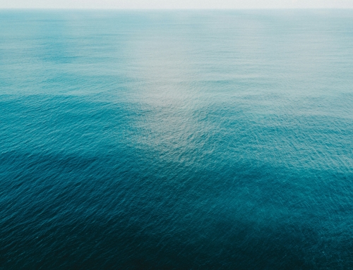 Spring Awakening: A Lull will do you good