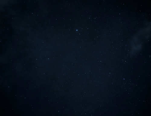 Five Tips To Navigate the Void During Life Transitions