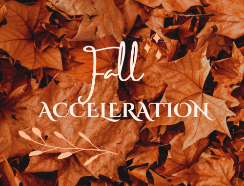 [2026 Fall Acceleration] Week 1 – It’s Harvest Season